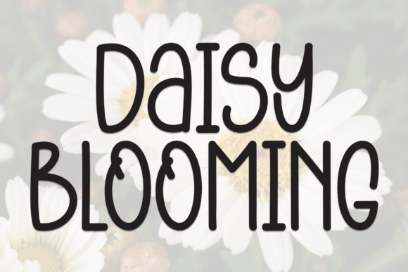 Daisy Blooming: A Fresh, Friendly Font for Real-World Design